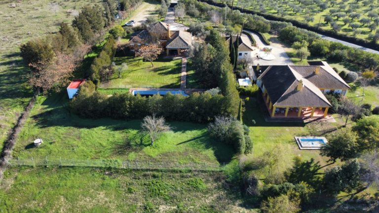 8083703c-a882-45d1-8271-4f3ba7351aa6-1